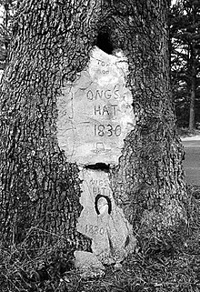 Ong's Hat, c. early 1970s Ong's Hat tree.jpg