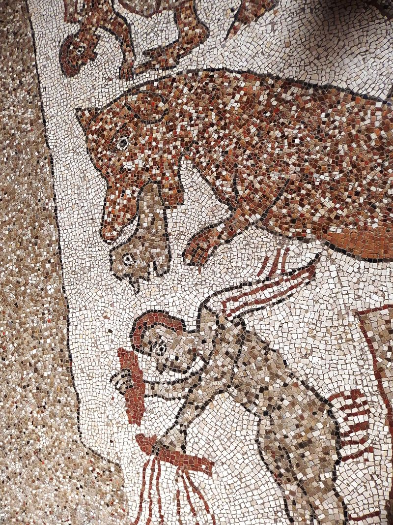 Otranto, cathedral, mosaic 04.jpg