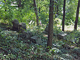 The overgrown section of the Mount Pisgah Presbyterian Church Cemetery, Pittsburgh