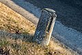 * Nomination Roadside stone on Seeuferstraße in Sallach, Pörtschach, Carinthia, Austria -- Johann Jaritz 02:42, 2 March 2024 (UTC) * Promotion  Support Good quality. --Bgag 03:56, 2 March 2024 (UTC)