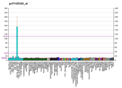 PBB GE C10orf118 gnf1h05340, fs.png'de