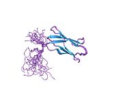 PDB 2d7n EBI.jpg