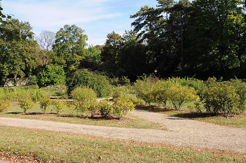 File:Parc du Château de la Malmaison 005.JPG