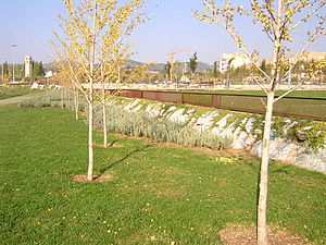 Parque G-5.jpg