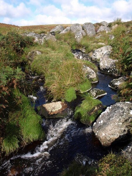 File:Part of Broad Falls - geograph.org.uk - 1482768.jpg