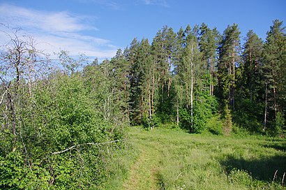 Kuidas ühistranspordiga sihtpunkti Kerikmägi jõuda - kohast