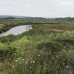 Pescadero Marsh (spring 2017)