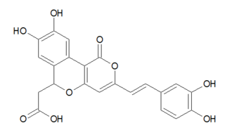 Phellibaumin class of chemical compounds