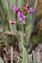 Umtanum Creek Recreation Area