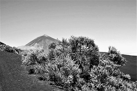 Cim del Teide