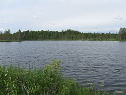 Järveä etelärannan ojan suulta pohjoiseen