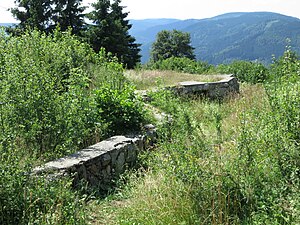 Prechtaler Schanze-Ecklesberg doğa rezervi (Temmuz 2013)