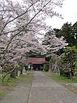 春の亘理神社境内