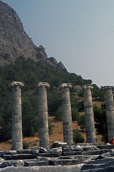 File:Priene-Colonnade-1981.jpg