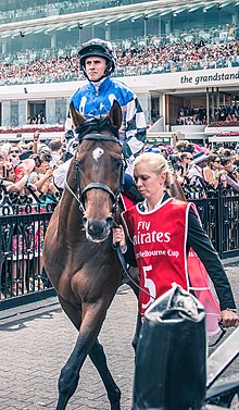 Proteksionis sebelum Melbourne Cup 2014 cropped.jpg