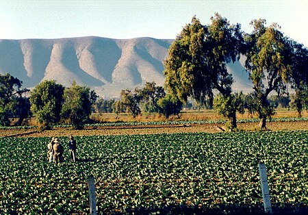 Tập_tin:Puebla_farmers.jpg