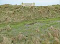 Ffynnon Gogarth Wici, l'un des nombreux puits du Grand Orme.