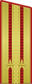 Controspallina per uniforme da parata Foze terrestri (1955-1994), poi nuovamente dal 2010