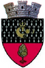 Wappen von Dolhasca