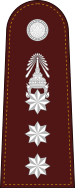 RTP OF-5 (Police Colonel).svg