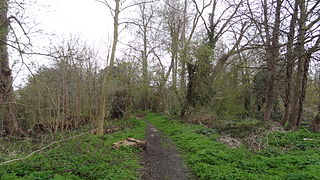 <span class="mw-page-title-main">Ravensbury Park</span>