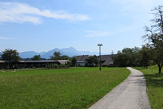 <span class="mw-page-title-main">Ravnica, Radovljica</span> Place in Upper Carniola, Slovenia