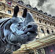 Rhinocéros du musée d'Orsay ; Montjo