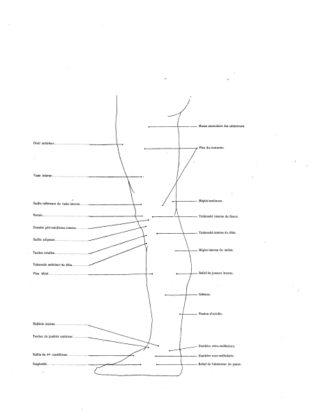 File:Richer - Anatomie artistique, 2 p. 102.png