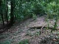 Taunus Siedlungsgeschichte Kapellenberg: Die Bauwerke und Fundstellen auf dem Kapellenberg, Überblick über die Siedlungsgeschichte, Bodendenkmale