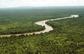 ಪರಿಸರ ವ್ಯವಸ್ಥೆ