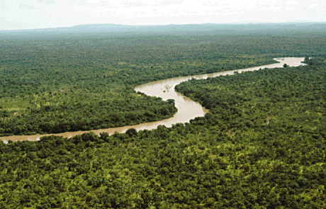 Gambia (ibaia)