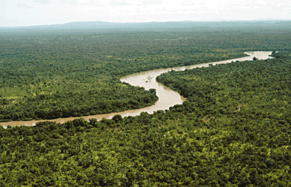 Le fleuve Gambie.