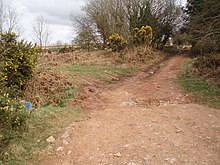 Rodxaysh Common - geograph.org.uk - 153290.jpg