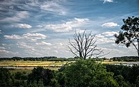 Morąg Marsh