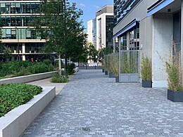 Zdjęcie poglądowe artykułu Rue Vivian-Maier