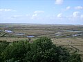 Les marais de Brouage ( ou Marais gâts ) à Saint-Sornin