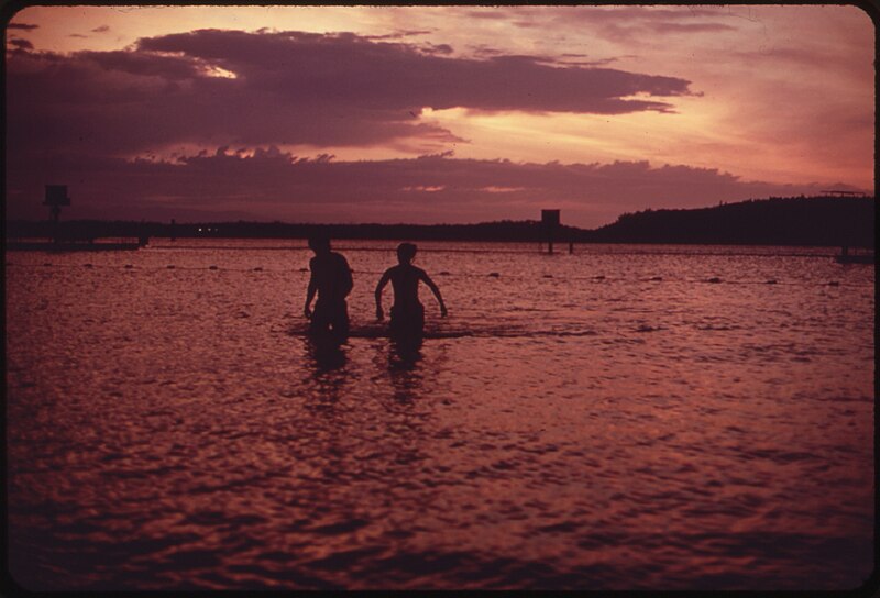 File:SWIMMERS AT SUNSET AT RENTON BEACH PARK ON LAKE WASHINGTON. LAKE WASHINGTON WAS DYING OF POLLUTION CAUSED BY SEWAGE.... - NARA - 552226.jpg