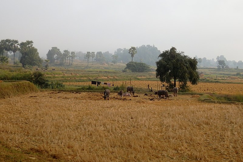 File:Sagaing Region, Myanmar (Burma) - panoramio (35).jpg