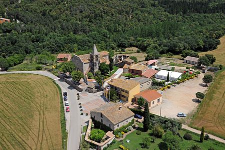 Sant Andreu, Estanyol