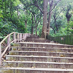 सप्तशज्या राम मंदिर की सीढ़ियाँ