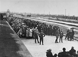 Jews from Carpathian Ruthenia on the selection ramp at Auschwitz II, c. May 1944. Women and children are lined up on one side, men on the other, waiting for the SS to determine who was fit for work. About 20 percent at Auschwitz were selected for work and the rest gassed. Selection on the ramp at Auschwitz II-Birkenau, 1944 (Auschwitz Album) 3a.jpg