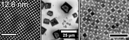 Iron oxide nanoparticles can be dispersed in an organic solvent (toluene). Upon its evaporation, they may self-assemble (left and right panels) into micron-sized mesocrystals (center) or multilayers (right). Each dot in the left image is a traditional "atomic" crystal shown in the image above. Scale bars: 100 nm (left), 25 mm (center), 50 nm (right). Self-assembly of iron oxide nanocrystals2.jpg