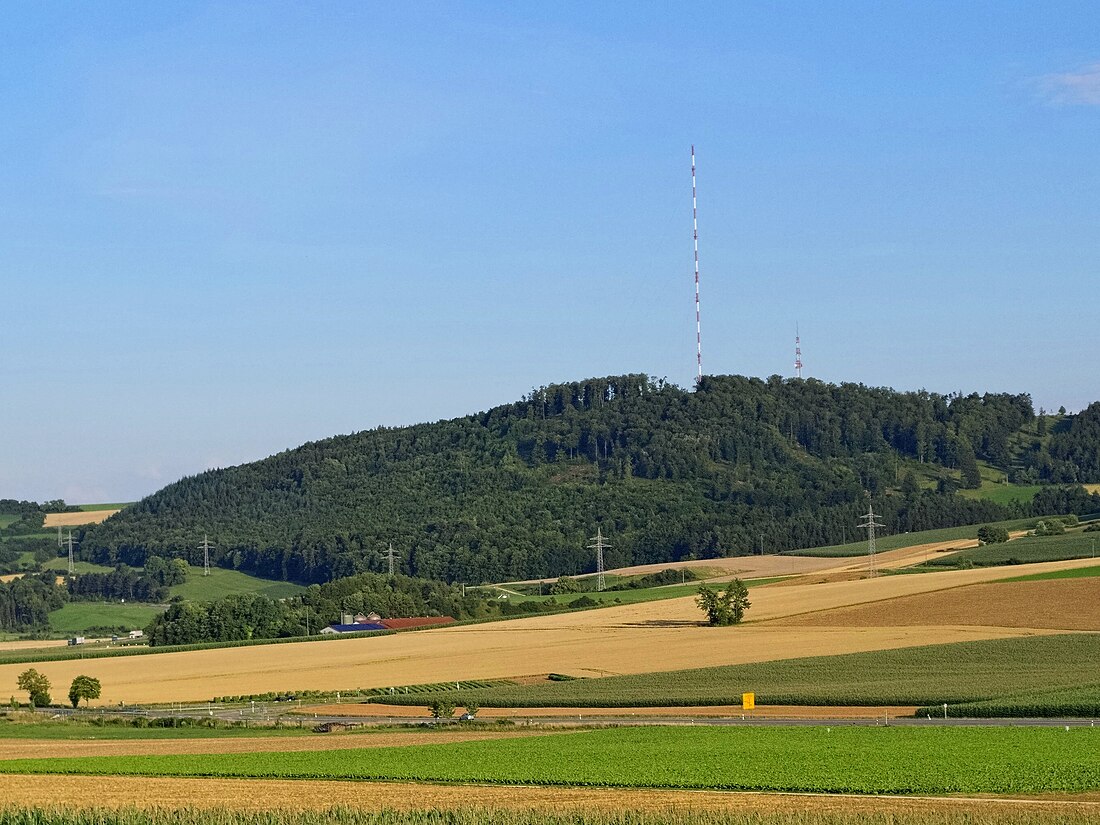 Hühnerberg (Swabia)