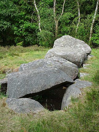 <span class="mw-page-title-main">Necropolis of Soderstorf</span>