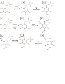 Proposed spectinomycin biosynthesis Spectinomycin....pdf