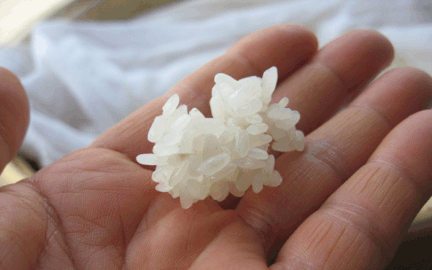 Glutinous white rice (steamed)