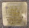 Stumbling Stone Aystettstrasse 6-Siegfried Ebertsheim