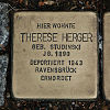 Stumbling block at Spielmannstrasse 6 for Therese Herger