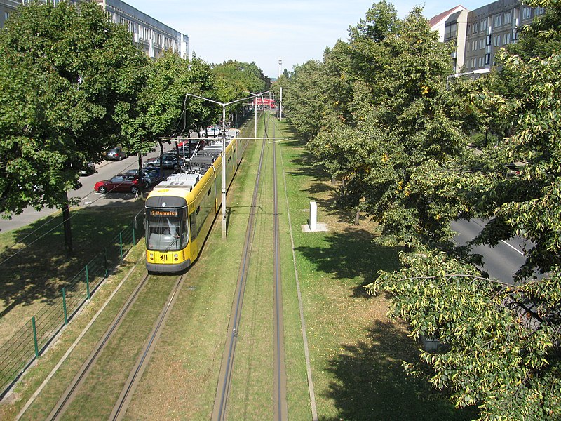 File:Straßenbahn Albertstraße Dresden.jpg