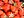 Berkas: Straberry01.JPG (row: 2 column: 18 )